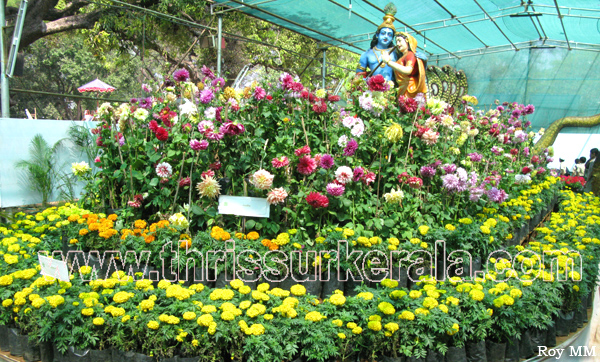 flower-show-2011 (5)